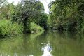 (34) Le Marais Poitevin